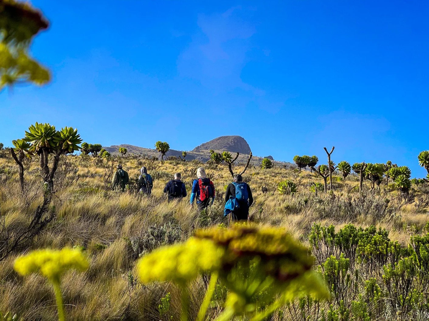  Mount Elgon National park