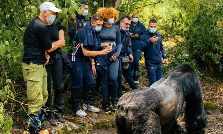 Gorilla Trekking Fitness Level