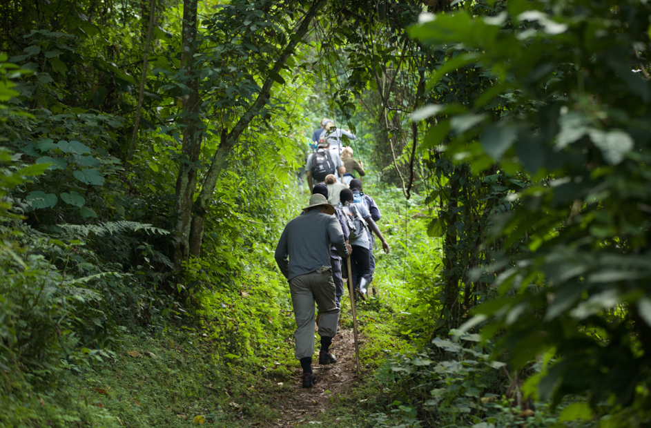Guided Nature Walks in Uganda