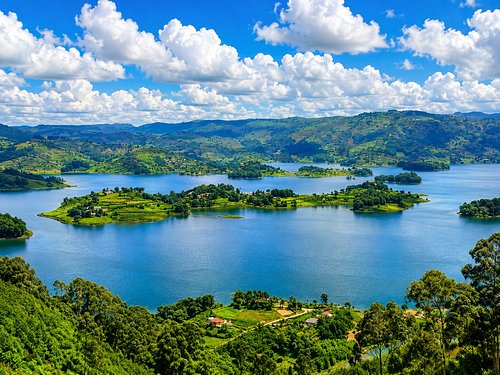 6 Days Uganda primates trekking safari